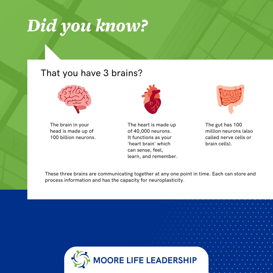 When making a decision, you can consult each of your “brains”.  Your brain brain is about  logic, your heart brain is about desire and connection, and your gut brain is about intuition.  What do each of your “brains” want to tell you?