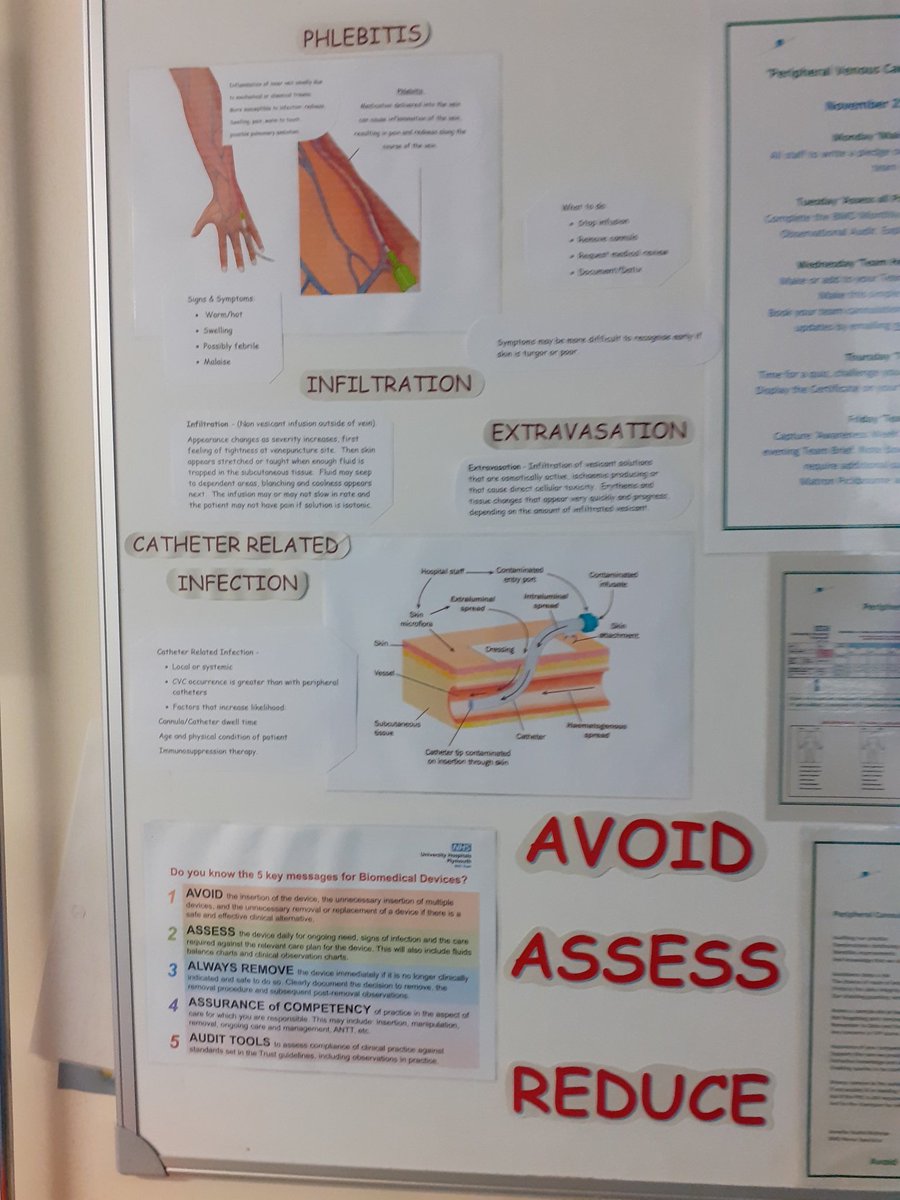 Cathryn654's tweet photo. Merrivale supporting Peripheral Venous Cannula Awareness Week 2022 @AnnJamesNHS  @SarahPickbourne https://t.co/Z9pJqq57ds