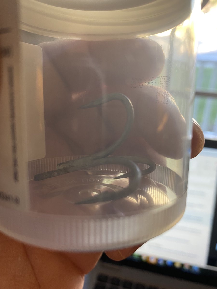 Don’t leave ocean lure in 🧰 and reach in quickly. One barb all the way into my pinky finger. Only comes out one way which involved strong thread and a strong yank from doctor. All without pain meds.