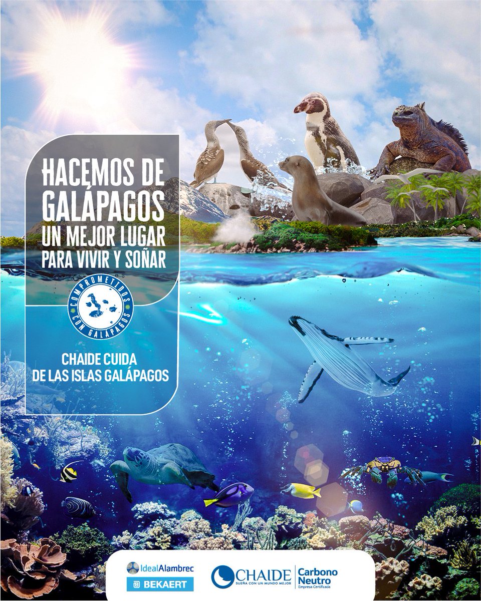 Chaide (@chaideoficial) on Twitter photo ¡Más de mil colchones mal desechados fueron retirados de Galápagos!
🍃🌱 Conoce cómo co-procesar más en bit.ly/3OpKwmM
#Chaide #Galápagos #SueñaConUnMundoMejor
<a href="/IdealAlambrecB/">Ideal Alambrec Bekaert</a> <a href="/sambito_ec/">SAMBITO</a> <a href="/cec_ecuador/">CEC_ECUADOR</a> <a href="/HolcimEcuador/">Holcim Ecuador</a> ¡Más de mil colchones mal desechados fueron retirados de Galápagos!
🍃🌱 Conoce cómo co-procesar más en bit.ly/3OpKwmM
#Chaide #Galápagos #SueñaConUnMundoMejor
<a href="/IdealAlambrecB/">Ideal Alambrec Bekaert</a> <a href="/sambito_ec/">SAMBITO</a> <a href="/cec_ecuador/">CEC_ECUADOR</a> <a href="/HolcimEcuador/">Holcim Ecuador</a>