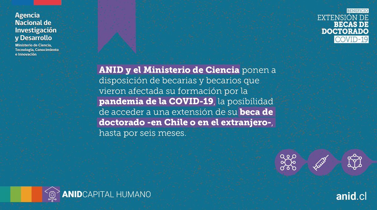 ANID_Chile's tweet photo. @AnidInforma y @min_ciencia entregan una efectiva solución para becarias y becarios de #doctorado, que vieron afectada su formación por la pandemia.
Les invitamos a revisar el detalle de este beneficio: https://t.co/sa92R9QGw1