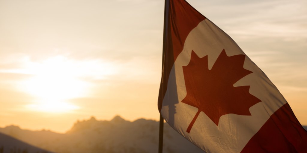 SaskBarley's tweet photo. This week is #CanadianHistoryWeek! 🍁 DYK, barley, was brought to Canada in the early 17th Century by European colonists. The barley was two-row and used to make beer, which led to the first Canadian brewery built in Quebec city in 1668. https://t.co/BZ1ZUZ2XhO