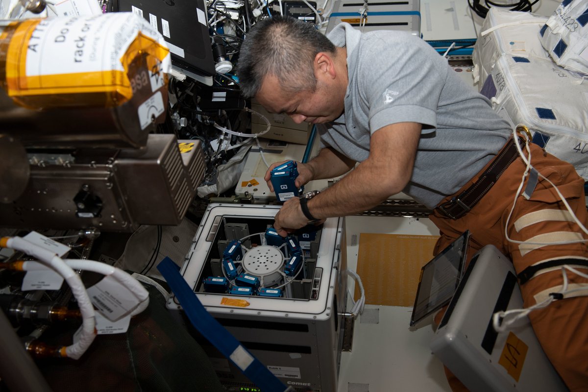 NASA_es's tweet photo. Recientemente, la tripulación de la @Space_Station puso a prueba a nanopartículas como una forma de proteger las células neuronales del estrés oxidativo, examinó maneras de identificar microbios beneficiosos y mucho más. https://t.co/jIoSvveZqJ https://t.co/JlZDjZGhii