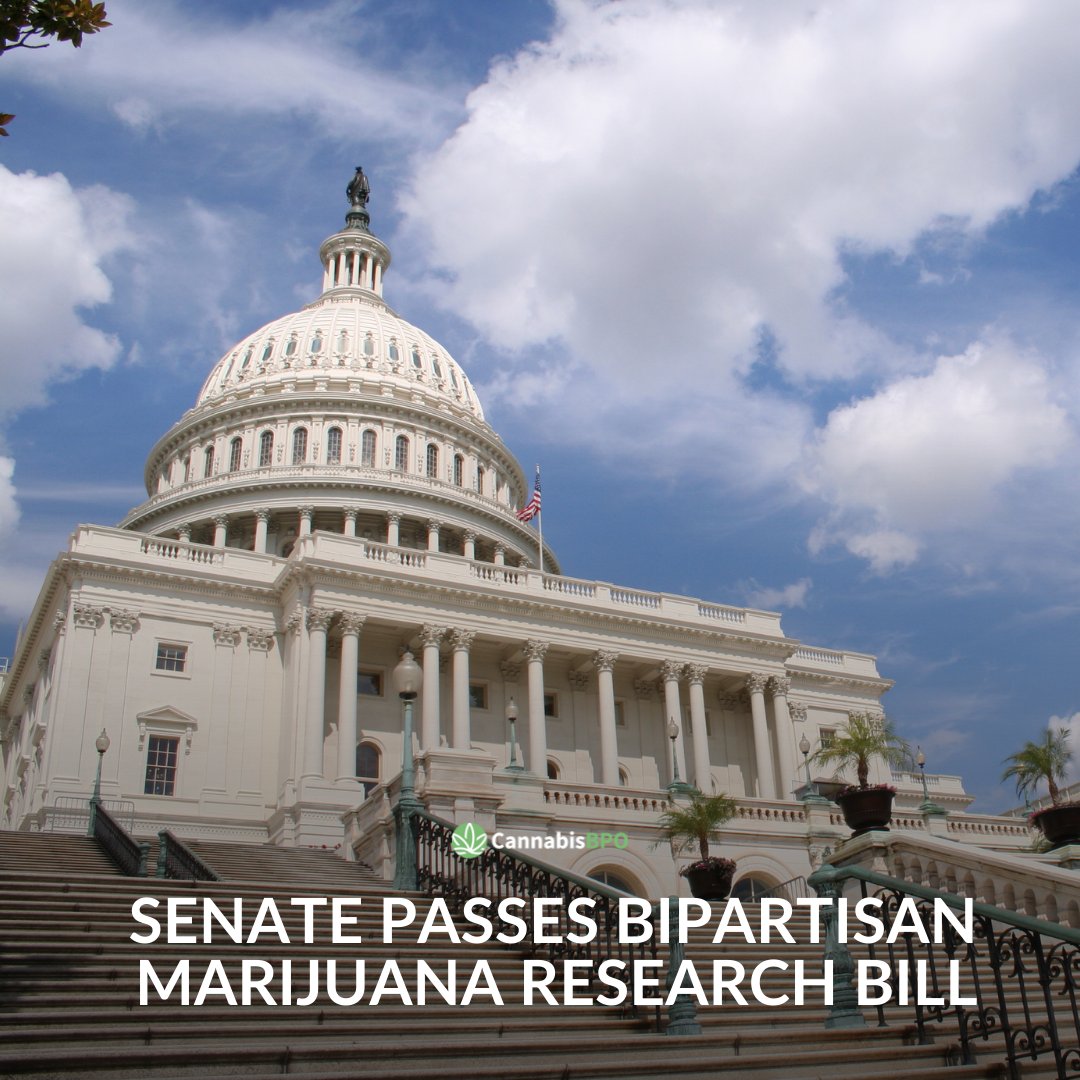 The Medical Marijuana and Cannabidiol Research Expansion Act, which passed the House in July, passed Senate and is now headed to President Biden's desk.

#cannabisnews #cannabiscommunity #cannabisbusiness #cannabisbpo