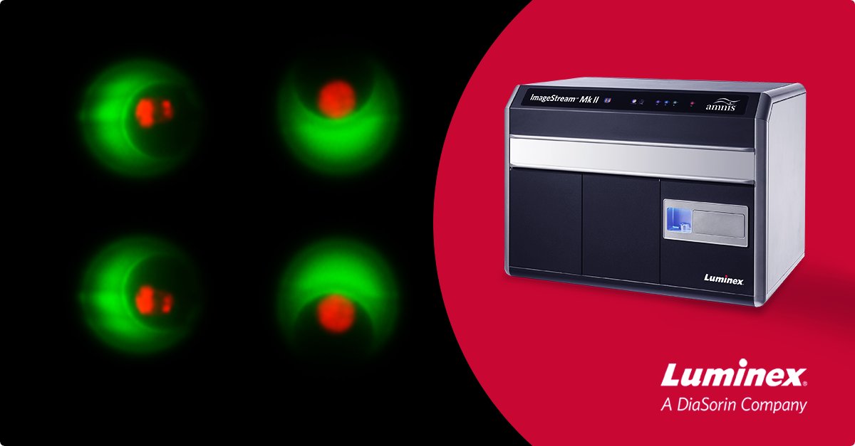 Luminex's tweet image. Read how #ImageStream &amp;amp; Partillion’s #nanovials measure antibody production, cytokine release, &amp;amp; EV secretion via #imagingflowcytometry as these individual, cell-specific characteristics &amp;amp; secretions are quantified simultaneously with this novel approach.

hubs.li/Q01sKh250