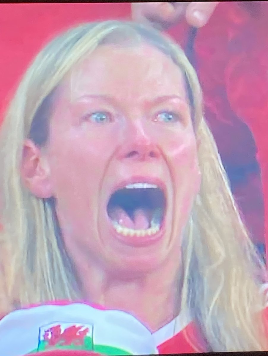 THAT is how you sing a National Anthem #Wales #QatarWorldCup2022 #USAvWAL #walesvsUSA