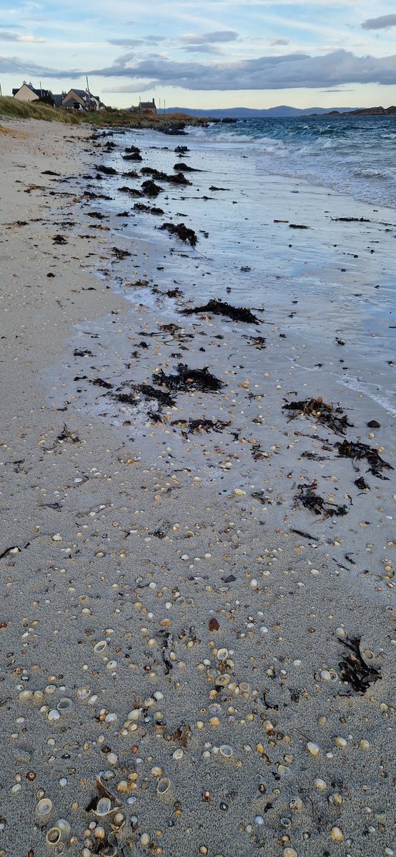 EileanIdhe's tweet photo. Sea views, coast, sand, clouds, skyline, sea, waves, kelp, shells &amp; wind! 😁 #IsleOfIona #Iona #GodInAllThings #nature #coastalcontemplation #prayer #innerhebrides #scottishscenery #livingthedream #vocation 1/2 https://t.co/5WC6WPT5k9