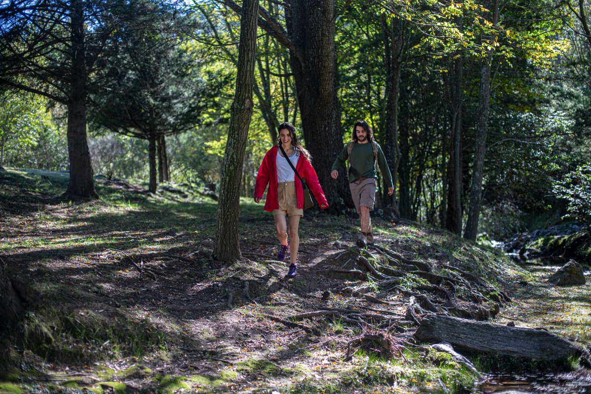 turismocba's tweet photo. 🚶‍♀️Descubrí los #SenderosDeCórdoba con + de 100 recorridos entre paisajes naturales y urbanos. 

✅Consultá la guía digital con senderos clasificados por región turística, ficha técnica y mapas georeferenciados en https://t.co/wyc0dzpVR1

CÓRDOBA❤️VOS
#SenderosQueUnen #MetelePata https://t.co/1MUUZT9N8d
