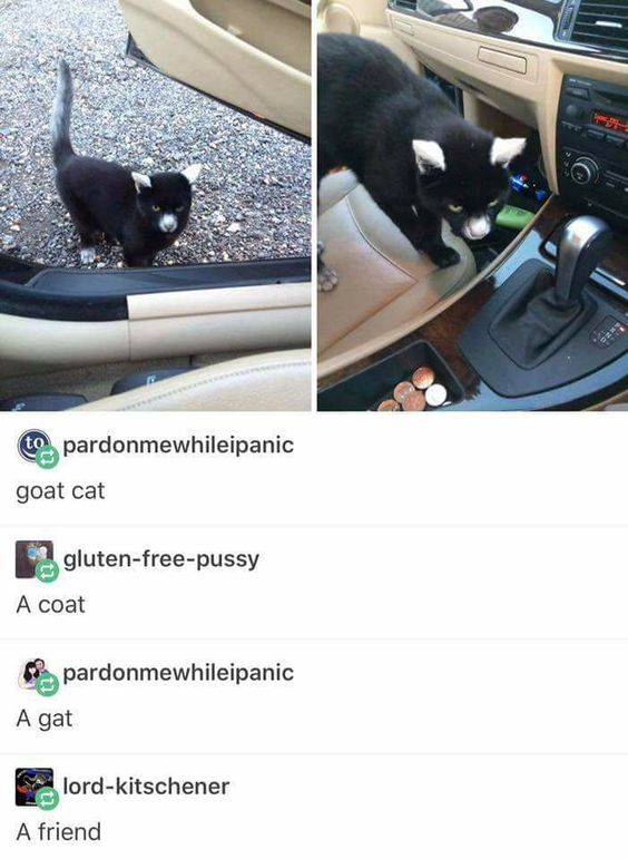 WholesomeMeme's tweet photo. https://t.co/k1A1rcMVvD