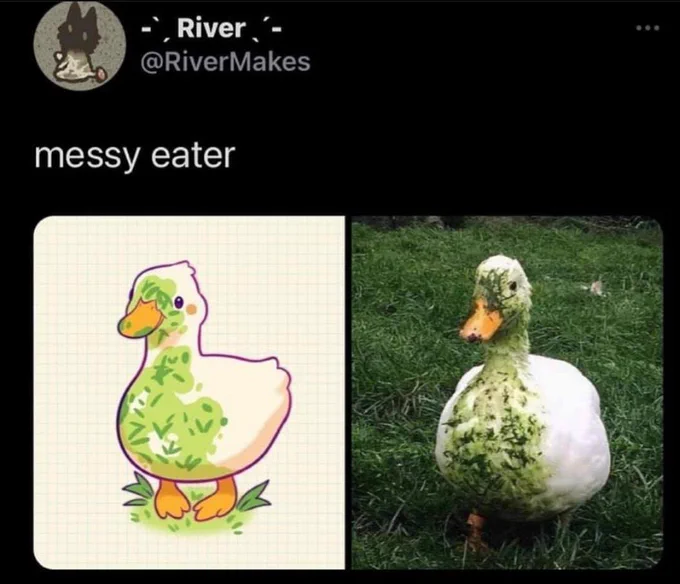 Behold the duck of legend  