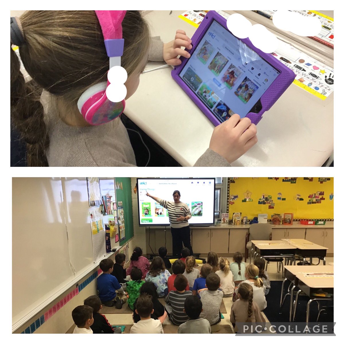 Sarah Rotella tweet media