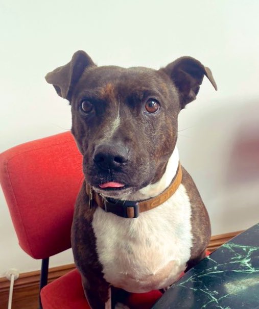 Emily Pritchard tweet media