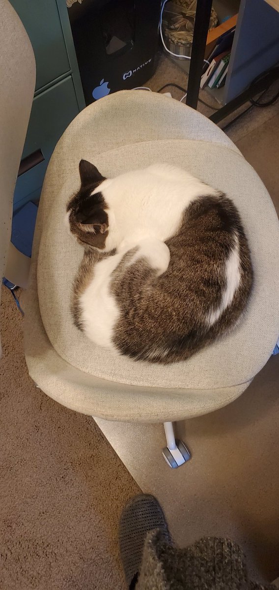 Ashley Stauffer tweet media