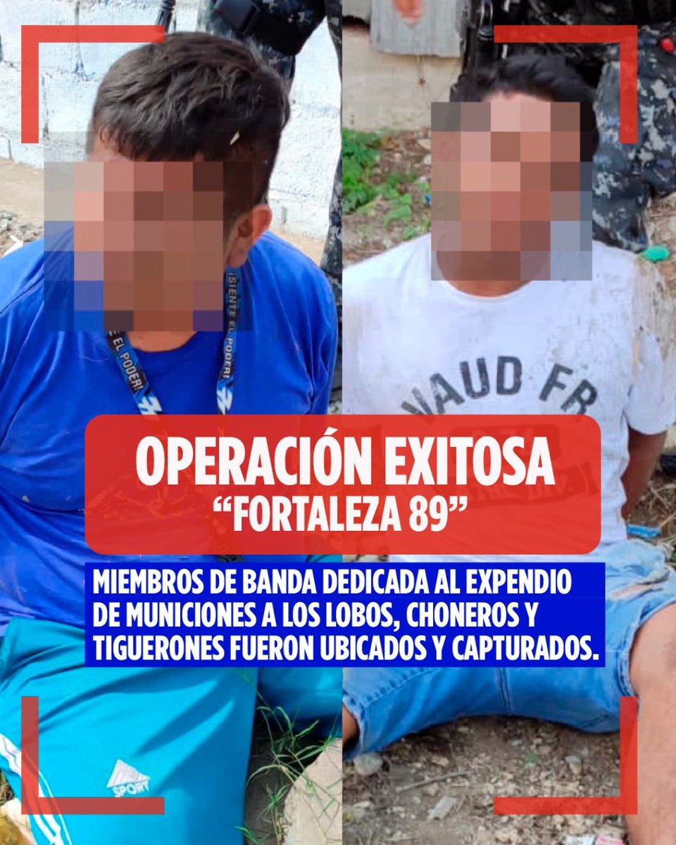LassoGuillermo's tweet photo. La @PoliciaEcuador y @FFAAECUADOR capturaron a una banda dedicada a surtir de municiones a mafias narcodelictivas. Con estas acciones reducimos crímenes, prevenimos delitos y le damos un duro golpe a quienes pretenden quitarnos la paz. https://t.co/LDVsPwQY6y