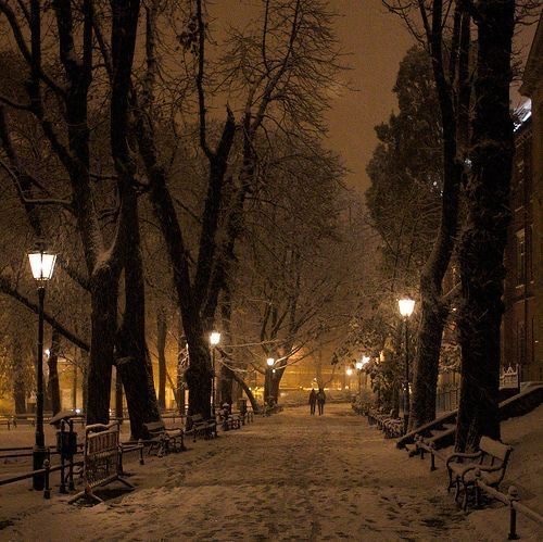AniuShadow's tweet photo. #gallery https://t.co/LI3rw2ZGqq
