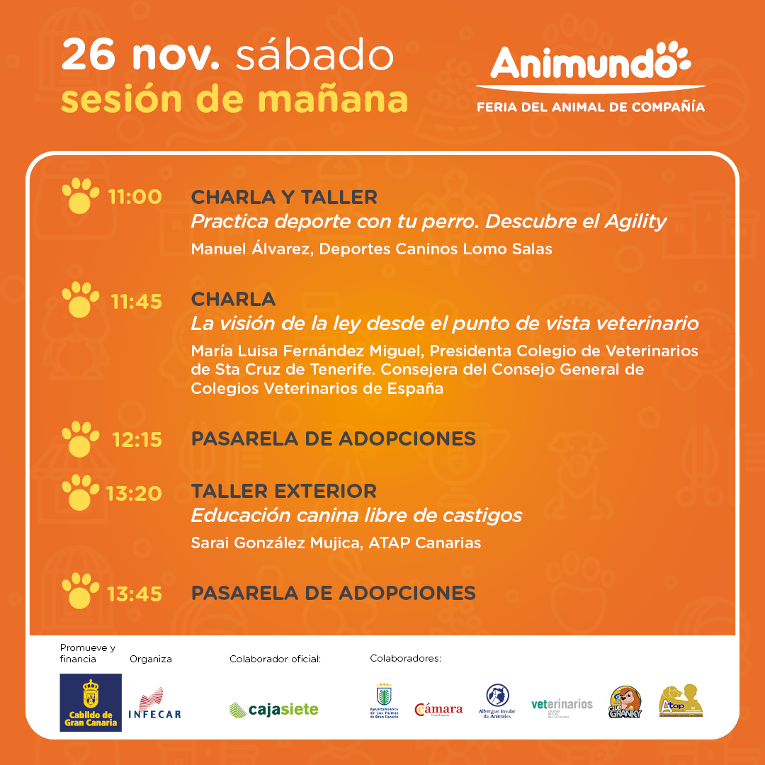 infecar's tweet image. Descubre todo lo que te espera en la 5ª edición de #Animundo 🐶🐱, la Feria del Animal de Compañía:

🐶 Conoce los productos y servicios de los expositores para el cuidado responsable de nuestros fieles amigos.