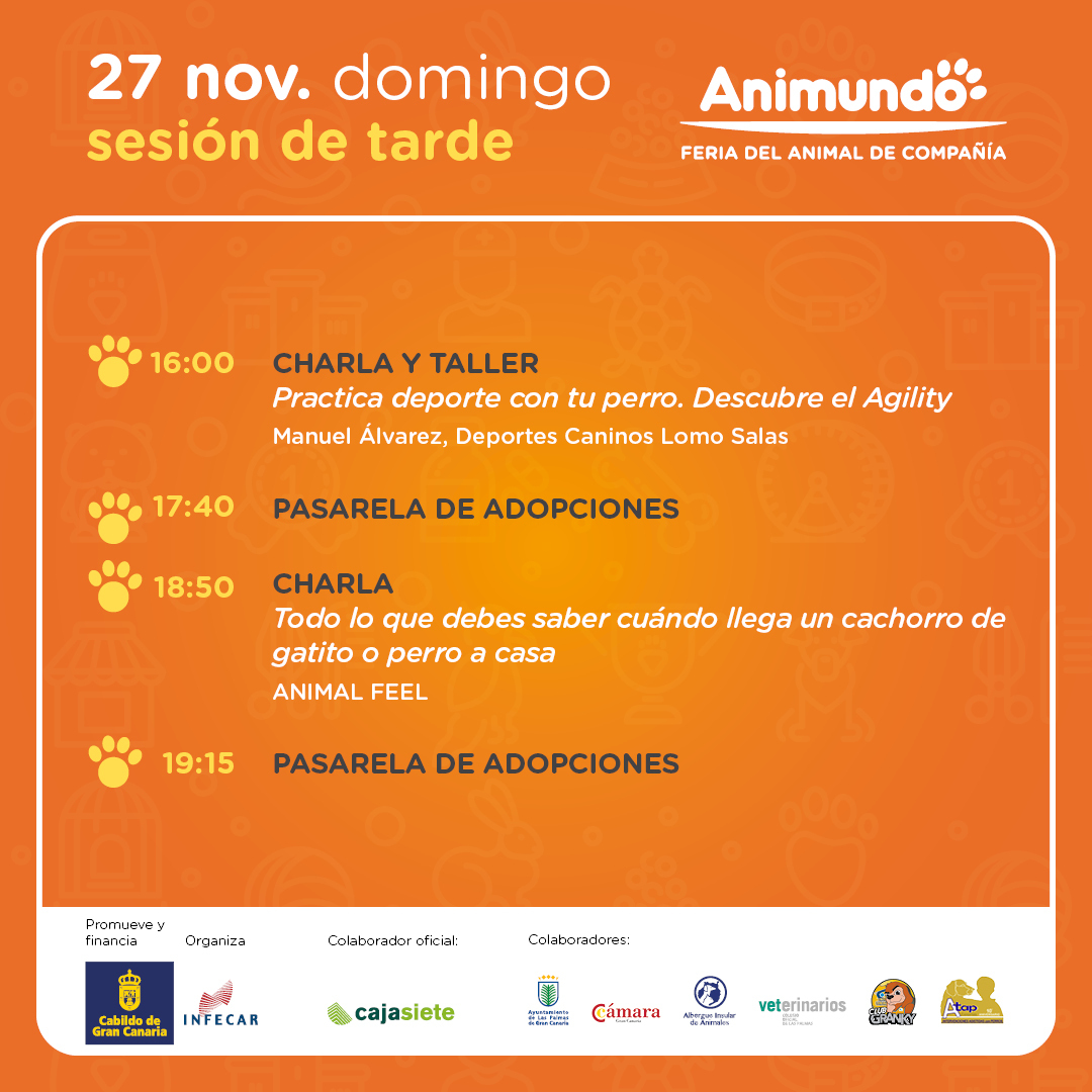 infecar's tweet image. Descubre todo lo que te espera en la 5ª edición de #Animundo 🐶🐱, la Feria del Animal de Compañía:

🐶 Conoce los productos y servicios de los expositores para el cuidado responsable de nuestros fieles amigos.