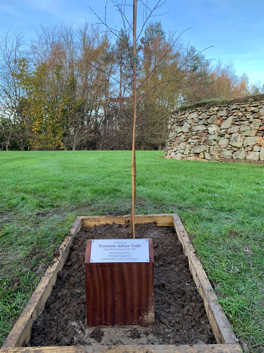 SPEHWU's tweet photo. Today @HWU_IGE  planted a tree in memory of late Prof. Adrian Todd (1944 - 2022). He pioneered #CCUS research leading to the foundation of @ScotCCS 
His #legacy continues through the Adrian Todd Golden Key student fund. IGE students are extremely grateful to him for his support. https://t.co/ZzB9MLMWH3