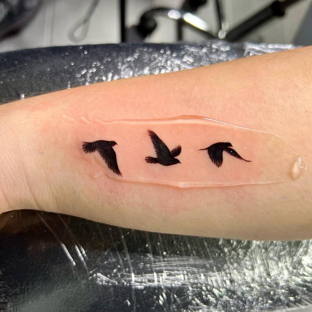 Jingstattoo's tweet photo. I wish you can fly to the highest ground.
Flying birds done at @jingstattoonyc 
#dovetattoo #birdstattoo #smalltattoo #forearmtattoo #smalltattoo #nyctattooartist #jingstattoo https://t.co/H2Nl2PQhan https://t.co/u8fZzdPiPj