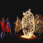 Photo by Discover Surrey BC (@DiscoverSurrey)