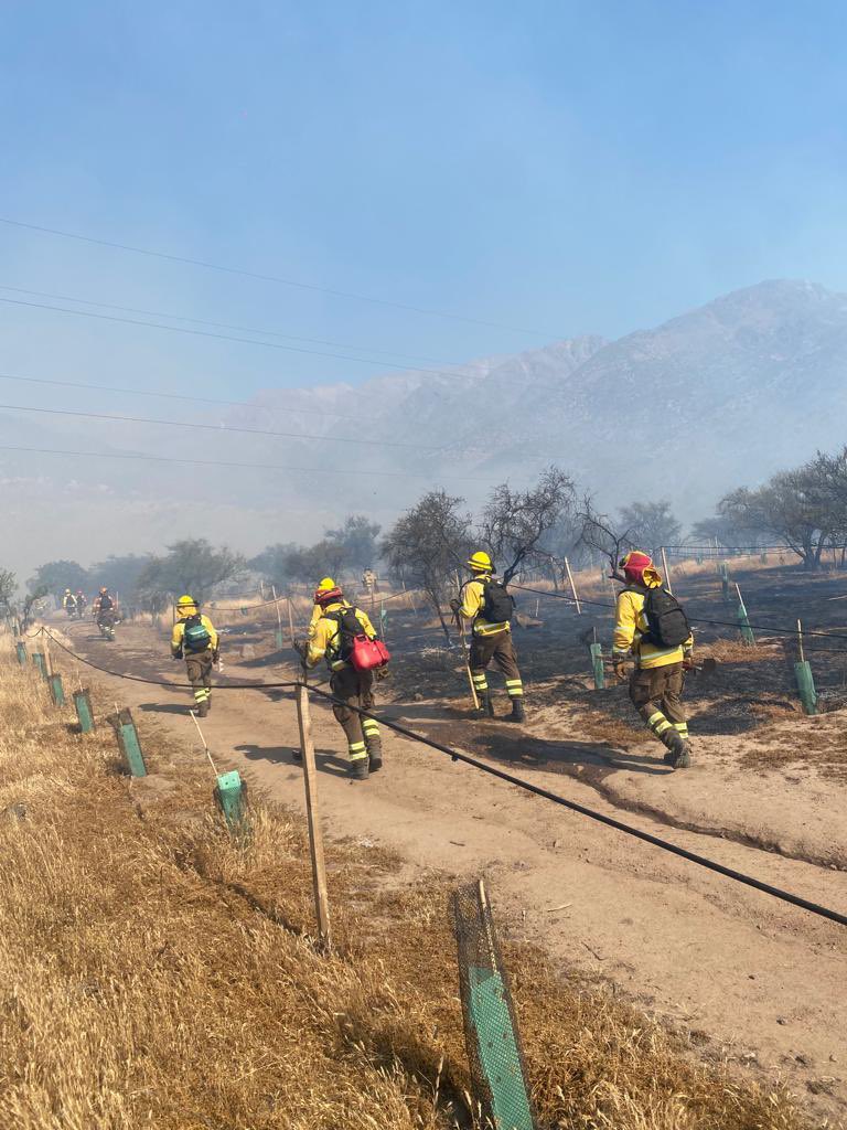 <a href="/conaf_minagri/">CONAF - Corporación Nacional Forestal</a> trabajando también revisando el perímetro.