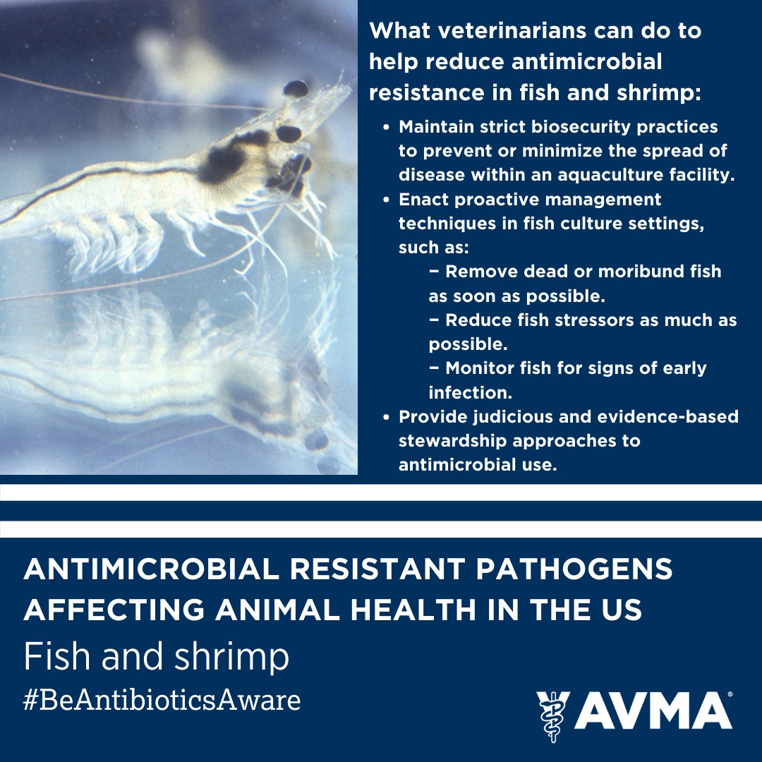 Tweet by AVMA (American Veterinary Medical Association)