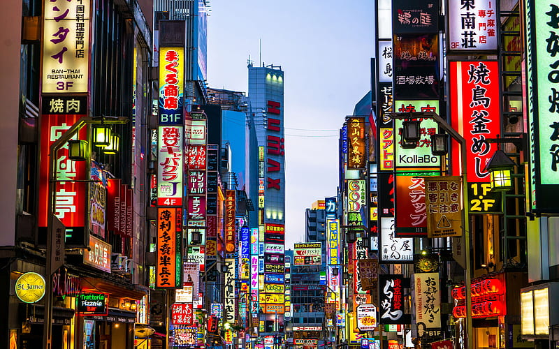 Zakkyo buildings! The buildings that make up Tokyo's iconic 'neon nightlife' that you see in the movies. Buildings where every floor has its own little micro-businesses, full of delights and secrets, instead of mainly the ground floor having public uses like one sees in US cities