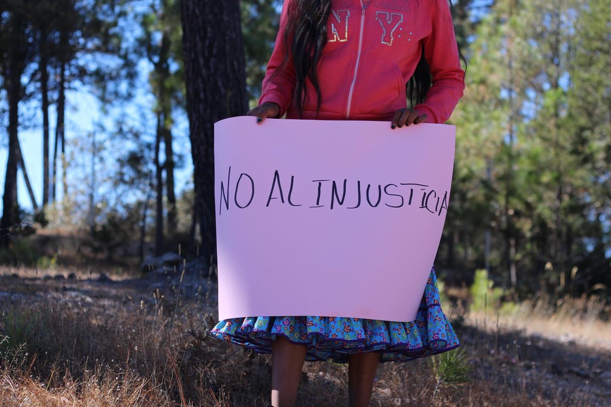 📢 Este fin de semana la comunidad de Bosques San Elías Repechique se manifestó de manera pacífica en la carretera Creel - San Rafael para exigir el reconocimiento legal de su territorio, así como el alto a la intimidación de particulares a integrantes de su comunidad.