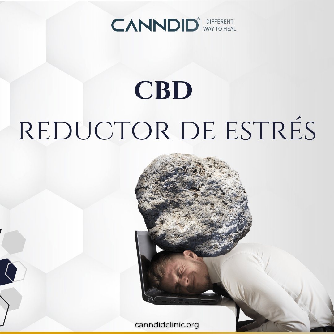 CanndidM's tweet photo. El estrés forma parte de nuestras vidas , es por eso que una gran solución para disminuirlo es sin ninguna duda el #CBD , el cual trabaja en nuestro sistema endocannabin0ide mejorando nuestra adaptación. 

#Estres #Ansiedad #Terapia #Canndid https://t.co/Bd9HSNOT2m