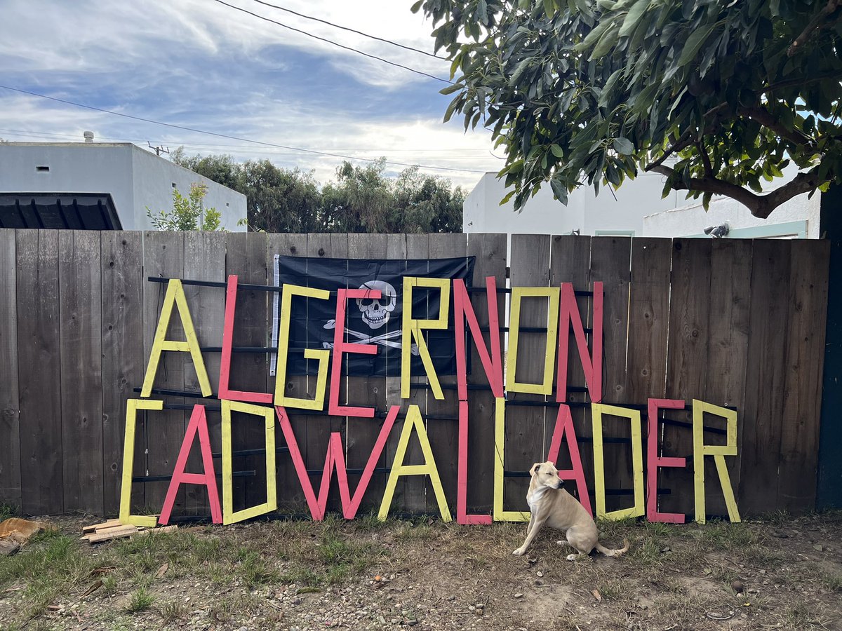 Tbh this is an honor. Instead of just paying for a printed banner like most bands, Peter built this sign himself. I thought that was punk af and looked really sick on stage. Might put it on eBay one day and give the money to the band / charity. Unless someone has a better idea?