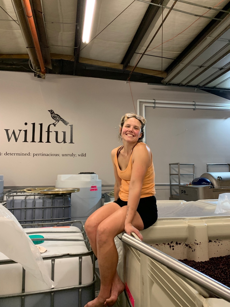 50% off shipping and free local delivery for full case orders. Stock up for the holidays and help us buy some shoes for our cellar crew :) #shoplocal #womeninwine #portlandoregon #wine #oregonwine #pinotnoir #willamettewine #willfulwine