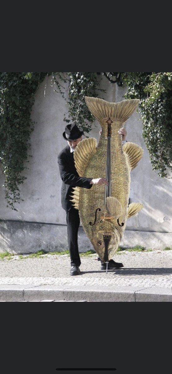 I always knew bass was a bit fishy 😂😂😂