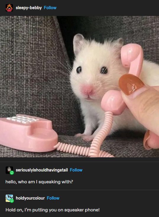 WholesomeMemes tweet media