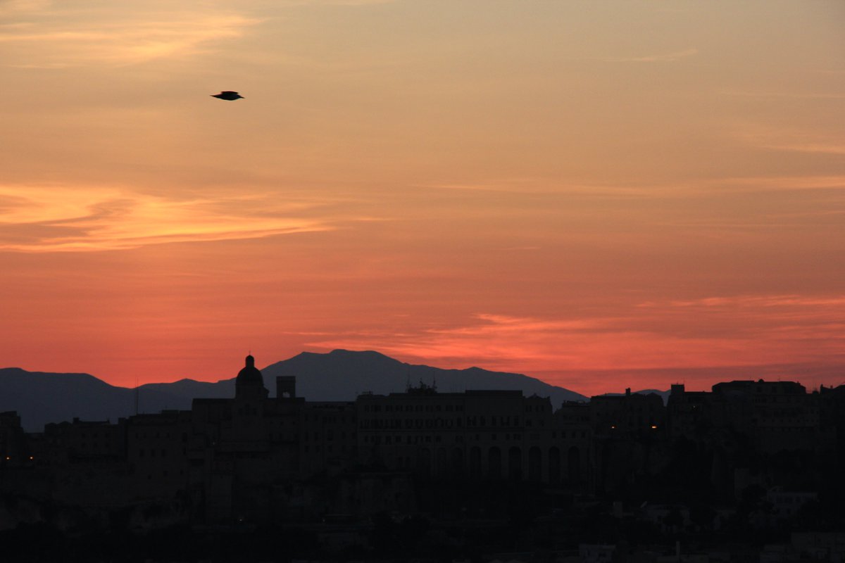 MrLobech's tweet photo. Shades of dawn: https://t.co/Ra83sr6BK9
From:
@pinftagram

@pinftagrammp

#pinftagram #bsc #minting #WTF #marketplace #ligerplay #nftart #NFTCommunity #NFT #Sunset #Sun #dawn #City #scales #shades #Reflex #sky #cityscape https://t.co/S1rJ2H4GEX