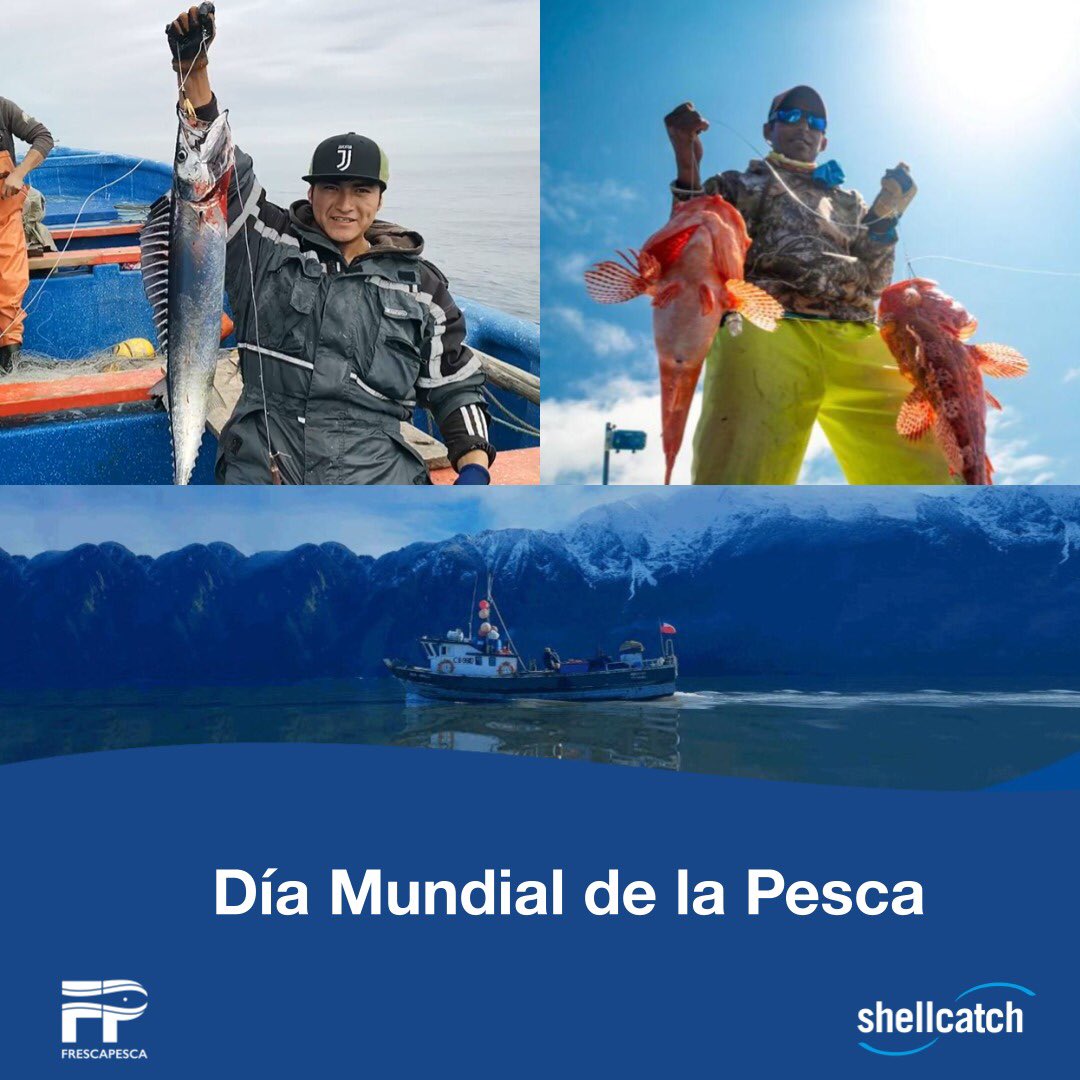 Shellcatch Ecuador tweet media