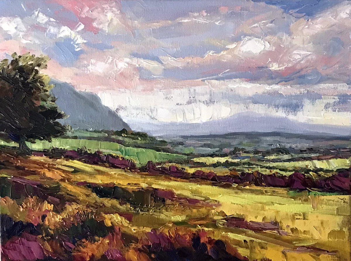 JamieODoole's tweet photo. Oil on canvas, 12 x 16", 2022 #painting #oilpainting #landscapepainting #contemporaryart #landscape #fineart #oiloncanvas #Irishartist #fineart #brushstrokes #expressionistlandscape #artwork #irishpainter #naturepainting https://t.co/iBQe5r4uub