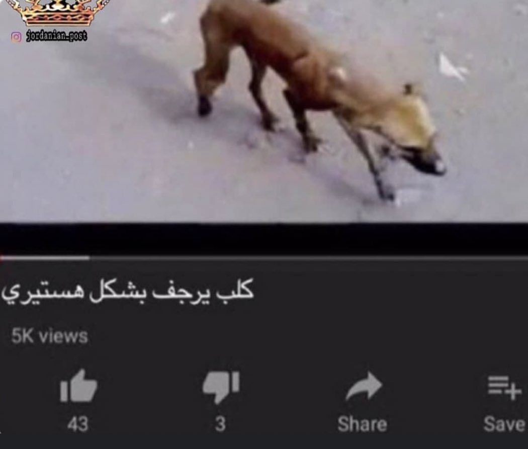 Gust_ku's tweet photo. عندي مادتين باقيلي فيهم غياب واحد بس😭 https://t.co/zJrMLAYCFp