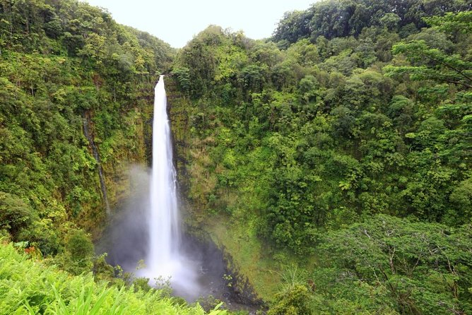 UH_FBRecruits's tweet photo. Living the good life: natural beauty

- Volcanoes National Park: home to 2 of the most active volcanoes on earth

- Mt. Waialeale: 2nd wettest place on earth

- Akaka Falls: 442 ft tall

- Waimea Canyon: The "Grand Canyon of the Pacific" which stretches for 10 miles https://t.co/wPAyVdSnyn