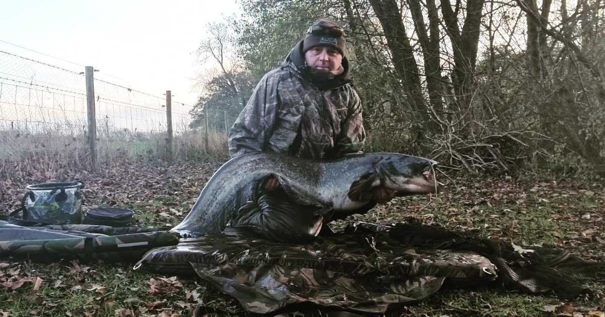 Nice dark late autumn cat 41.8