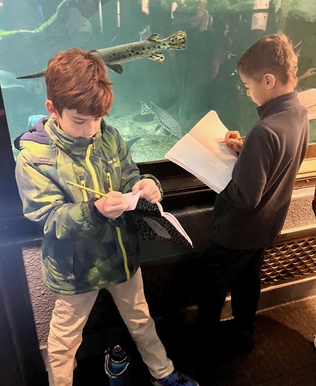 Grade 4 engaged in a Biomimicry in Engineering workshop <a href="/shedd_aquarium/">Shedd Aquarium</a>. After reflecting on problems in ecosystems, students designed a robot to remove garbage from water habitats. 
#GemsFieldStudies #AppleDistinguishedSchool #ChicagoPrivateSchools