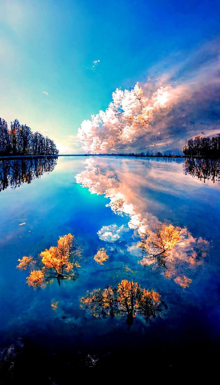 Nature рџњ On Twitter Nature Https T Co Weupvxvvh2 Twitter Nature рџњ On Twitter Nature Https T Co Weupvxvvh2 Twitter