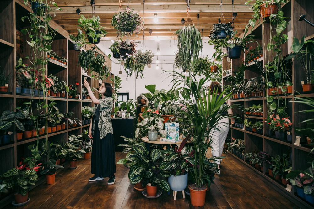EventProdShow's tweet photo. 🌿We are proud to announce #PlantDesigns will be exhibiting at #EPS23!
Making the world a greener place to live & work🌺
Register for your free visitor pass https://t.co/c0p4a8DJv0
#live #events #plants #eventdesign #eventprofs #livevents
@Access_AA https://t.co/6TUzzn38zq