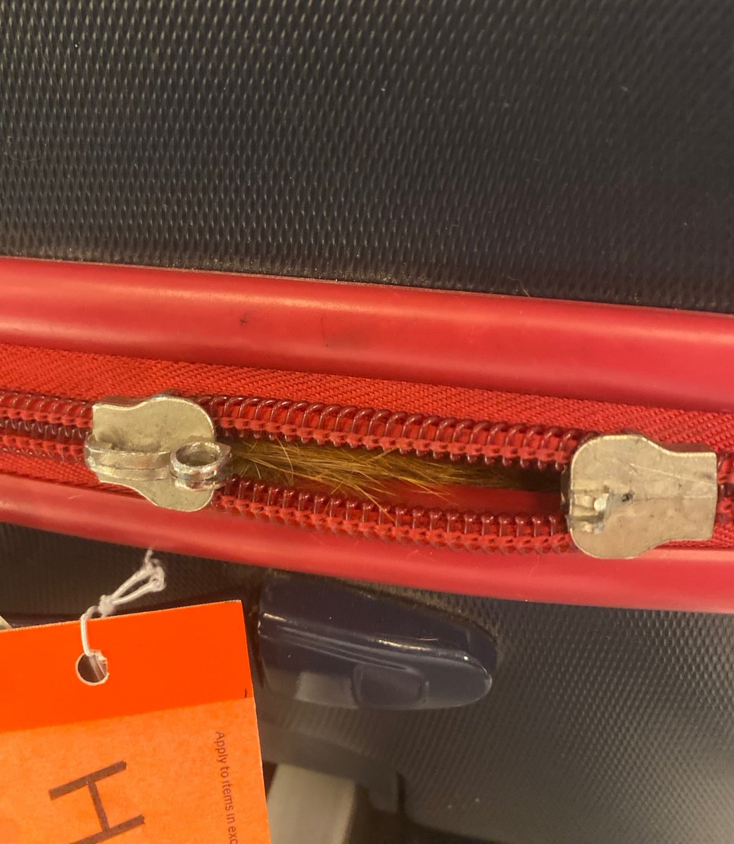 A @TSA officer was shocked to find an orange cat inside a checked bag at @JFKairport after it went through the X-ray unit. Traveler said the cat belonged to someone else in his household. On the bright side, the cat’s out of the bag and safely back home.