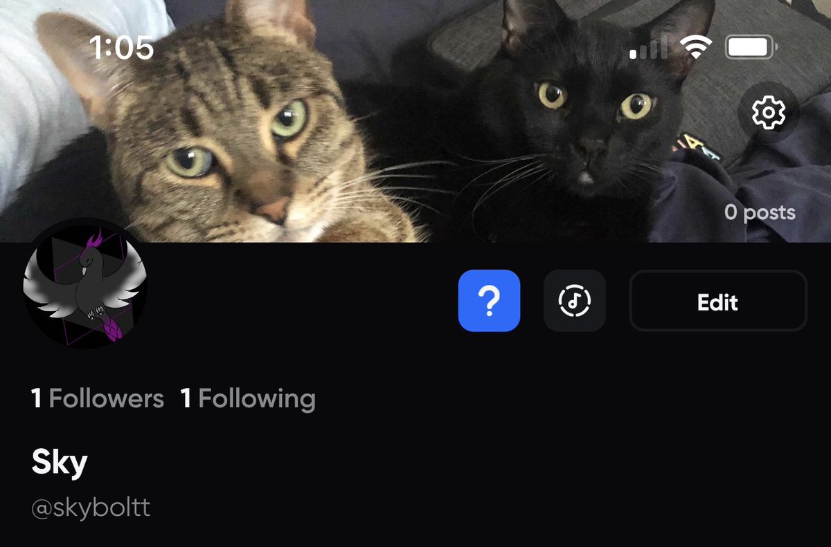 Skyboltt's tweet photo. Giving this a try as well. If you see the double t you know it’s me (ok that was really bad). Also my cats get to stare judgmentally at you from a new place (that part is good). https://t.co/W0yujZd2i9
