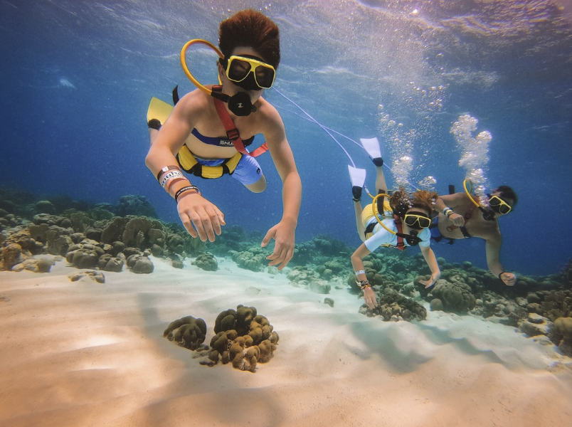 Great shot from our friends and family at SNUBA Operator <a href="/depalmisland/">De Palm Island</a> 
#thingstodoinaruba #snuba #scubaandsnorkel #depalmisland #tryit #snubalife🤙🏼✌️🐢🐟🐠🌴