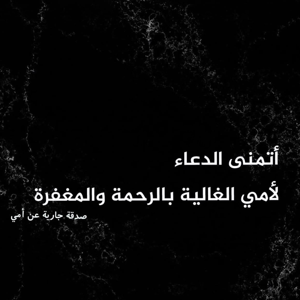 aliseyamp's tweet image. 