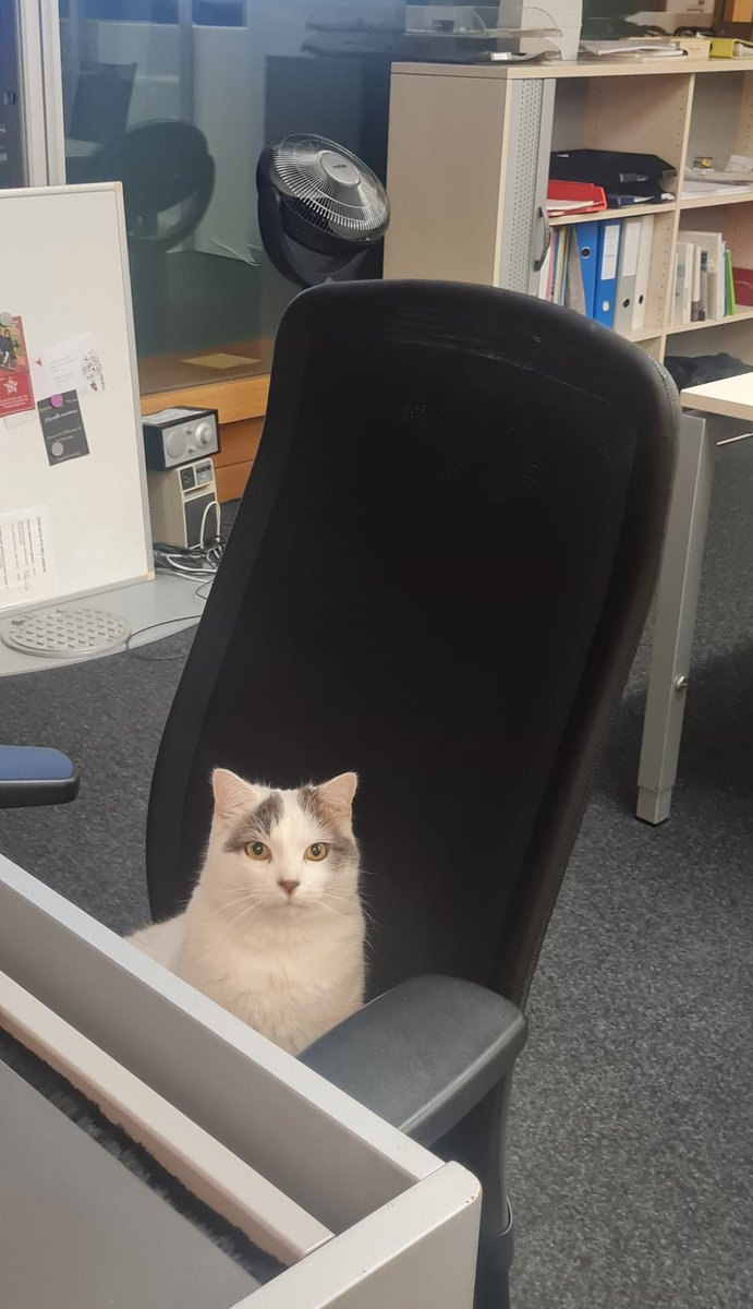 Helene_kbhl's tweet photo. Discussion passionnante ce matin avec @Tokay_le_chat sur les grands enjeux de demain https://t.co/ny15Oozr2y