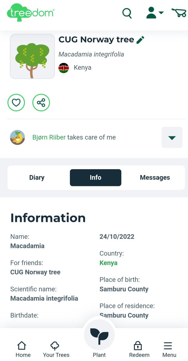LilleBear's tweet image. My #CUGtech raffel price from @IGEL_Technology, a macadaimia tree is planter in #Kenya #Sustainability @CUGNorway @myCUGC
