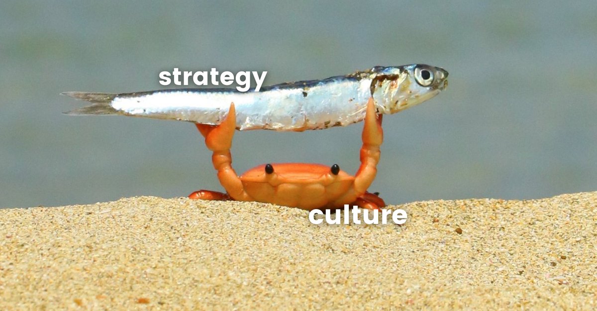 The most #peoplefirst strategy will fail in toxic culture. Build culture first, strategy second.

More on the impact of culture on fighting toxic workplace habits here: bit.ly/3su2PND