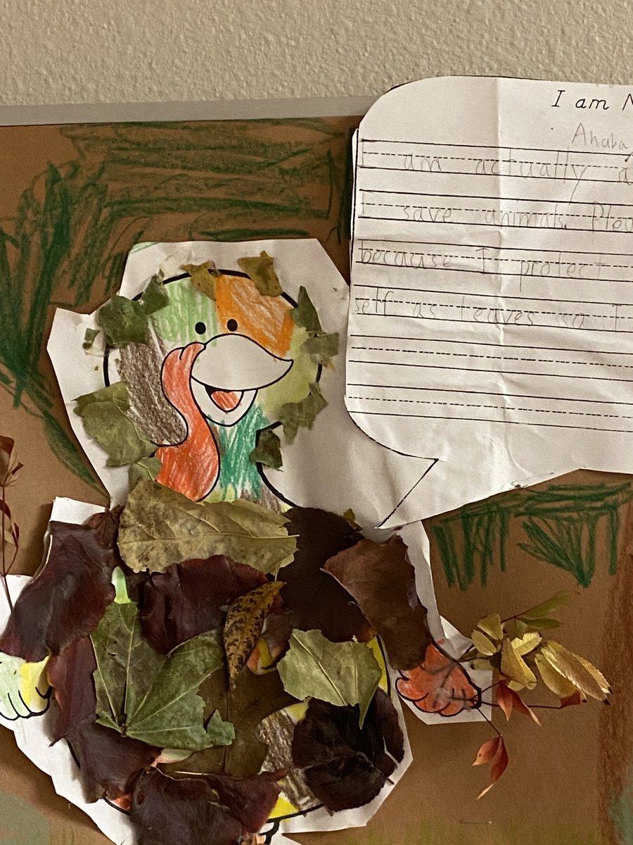 SVmountainlion's tweet photo. Don't eat me!  I am not a turkey! #Thanksgiving2022 https://t.co/xJinJG7dRb